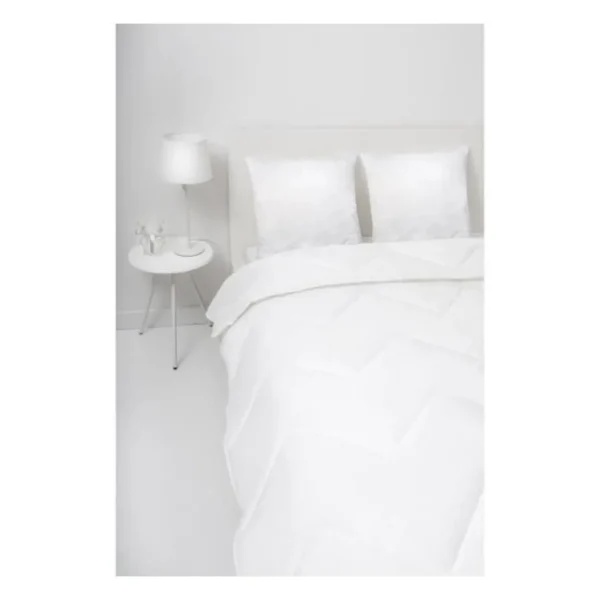 ABEIL Lot de 2 Oreillers a memoire de forme matelasses 60x60 cm blanc