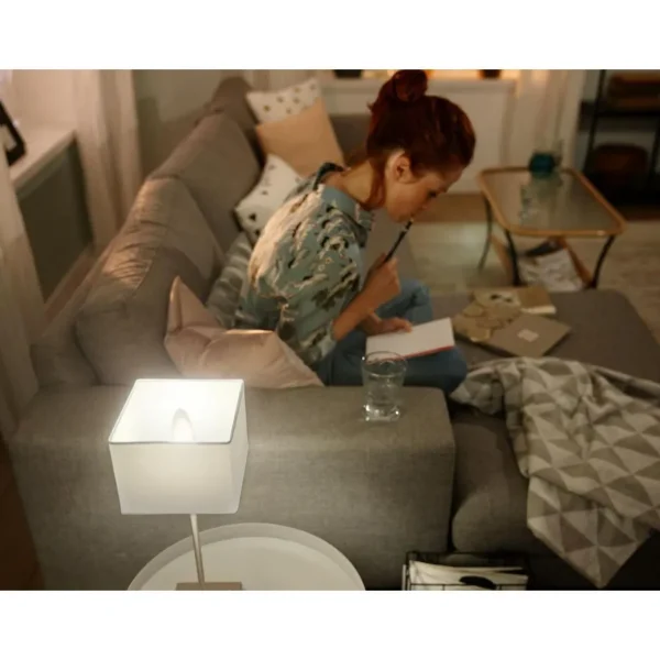 Ampoule LED connectée HUE White E14