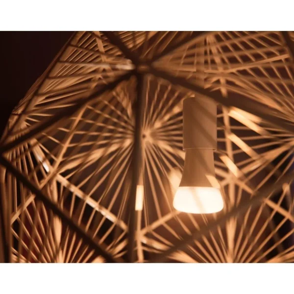 Ampoule LED connectée HUE White Ambiance E27 75W