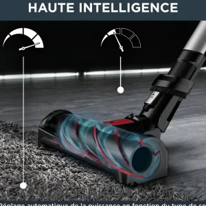 Aspirateur balai X-FORCE FLEX AUTO 12.60 RH98A7WO - Noir