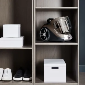 Aspirateur traîneau sans sac RO4B30EA - Gris fumé