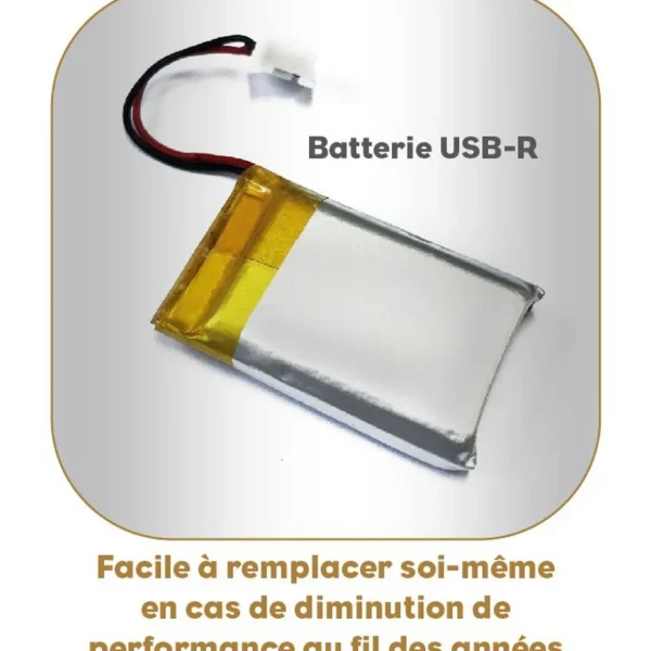 Balance 8542 - Bambou