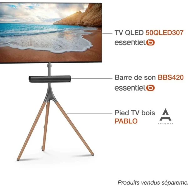 Barre de son BBS420