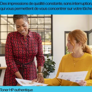 Cartouche imprimante N203X - Noir