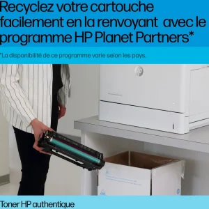 Cartouche imprimante N203X - Noir