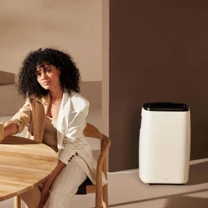 Climatiseur connecté 18000BTU North DXMA13