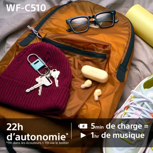Écouteurs WF C510 - Noir