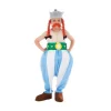 Déguisement Obélix : Taille 7/8 ans - 7/9 ans (122 à 134 cm)