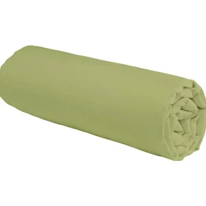 Drap housse en coton 57 fils uni bonnet 25cm