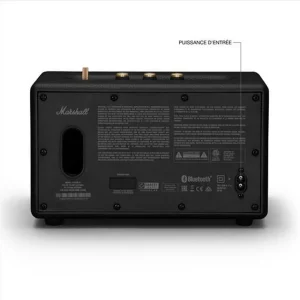 Enceinte ACTON III