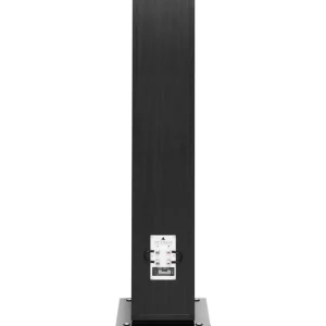 Enceinte colonne Antal esprit EZ bois noir