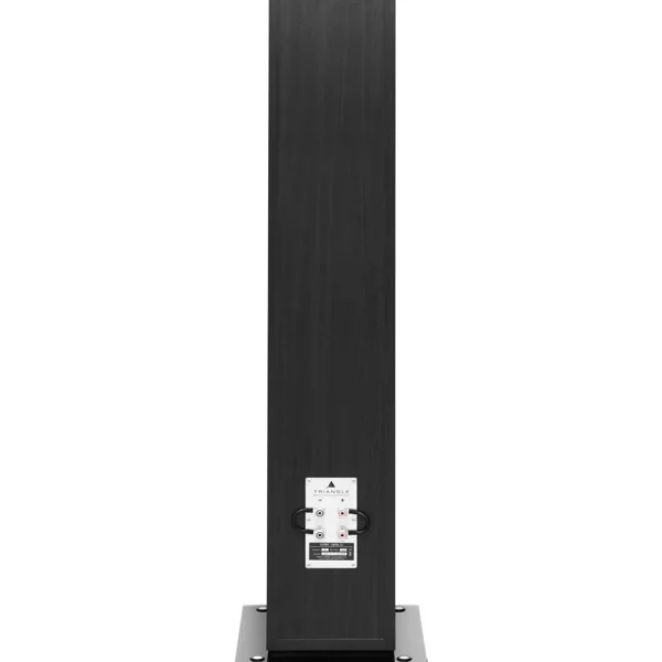 Enceinte colonne Antal esprit EZ bois noir