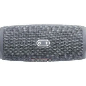 Enceinte portable Charge 5 Gris