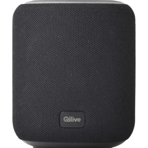 Enceinte portable Q1708 - Noire