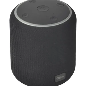 Enceinte portable Q1708 - Noire