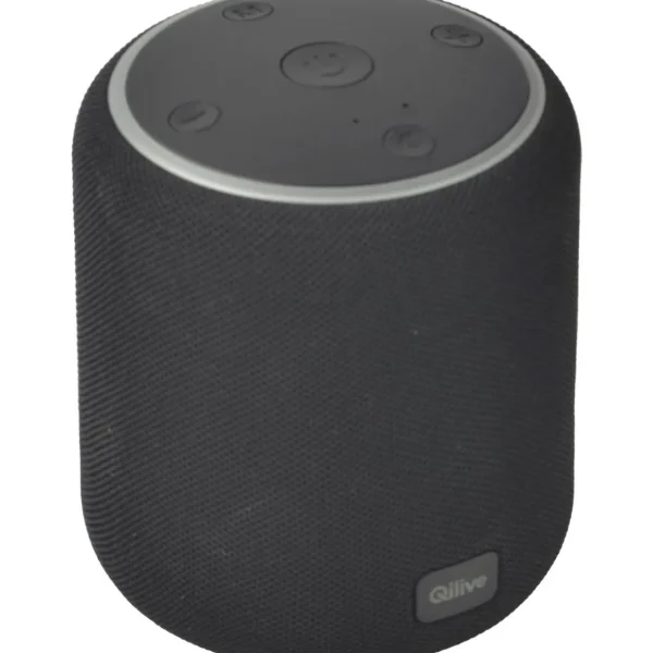 Enceinte portable Q1708 - Noire