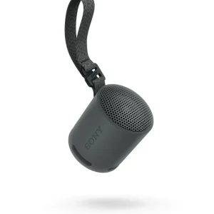 Enceinte portable SRS-XB100 Noir Basalte