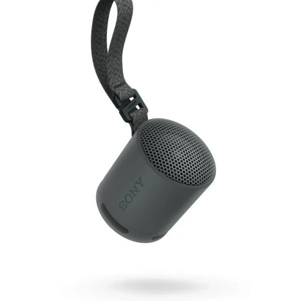 Enceinte portable SRS-XB100 Noir Basalte