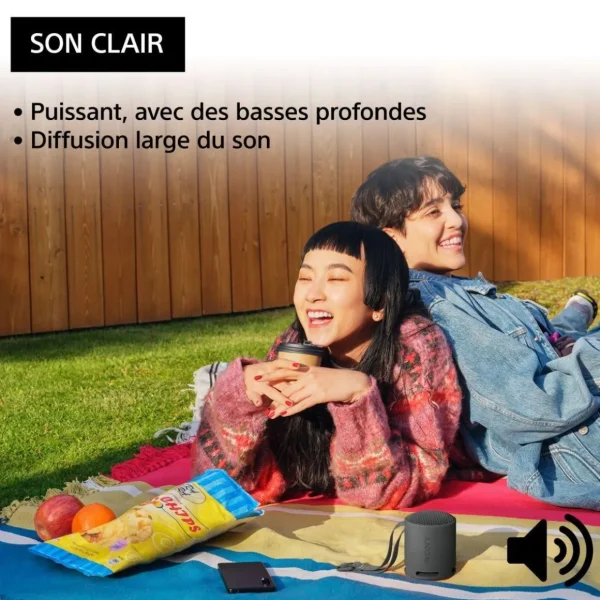 Enceinte portable SRS-XB100 Noir Basalte