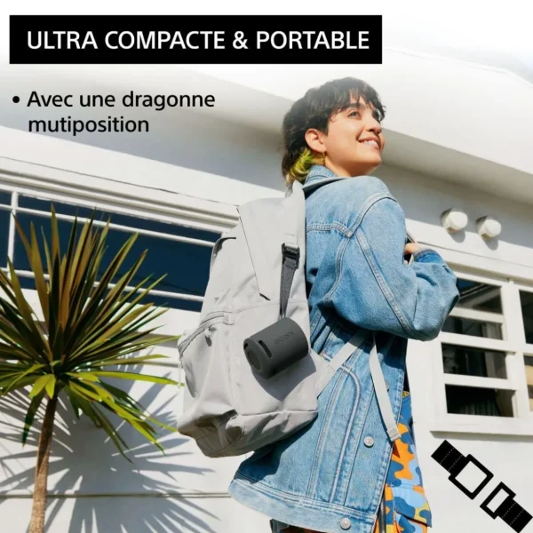 Enceinte portable SRS-XB100 Noir Basalte