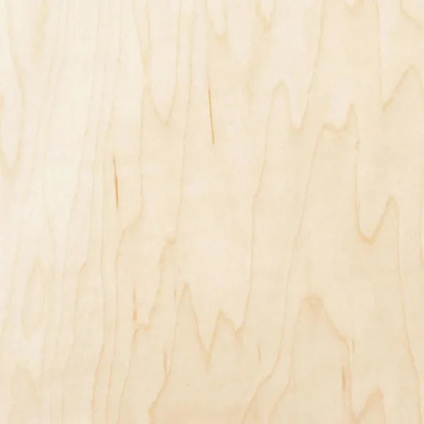 2 Feuilles Placage Bois d'Érable - 30,5 x 30,5 Cm