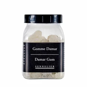 Gomme Dammar 100 g