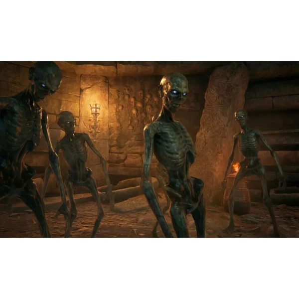 Hogwarts Legacy: L'Héritage de Poudlard PS4