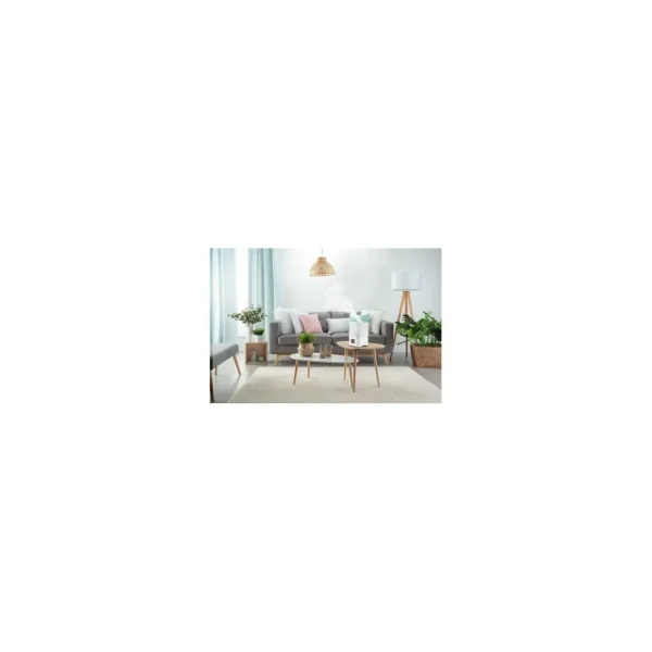 Humidificateur Aqua boost