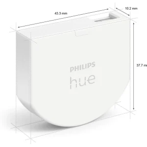 Interrupteur HUE wall switch module x2