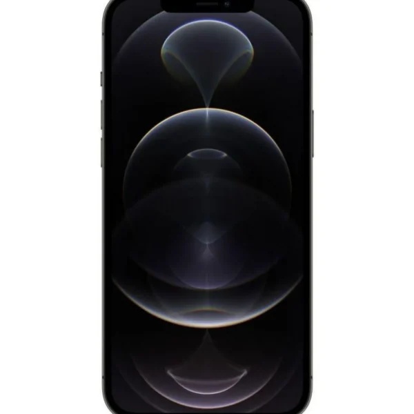 iPhone 12 Pro Max reconditionné 128 Go - Grade C - Gris