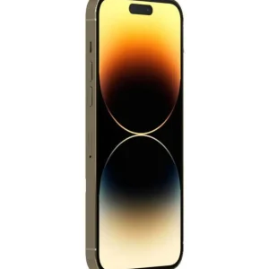 iPhone 14 Pro Max reconditionné 256 Go - Grade C - Or