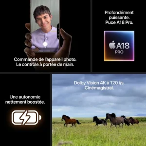 iPhone 16 Pro Max 1To- Titane Naturel