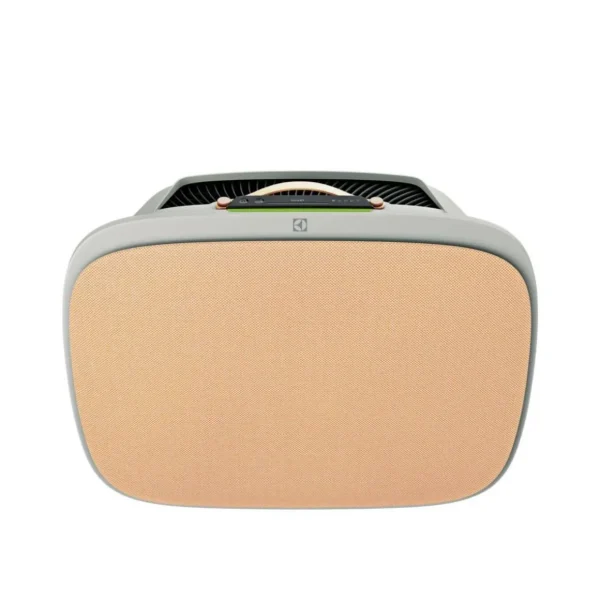 Kit de décoration Kit décoration SOFT BIRCH