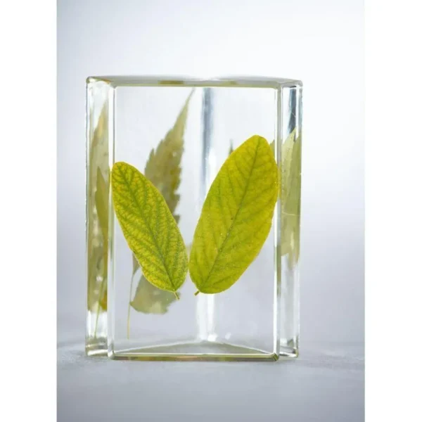Kit résine de cristal bio - 150 ml