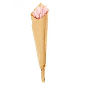 Lagurus séchés rose - 45 cm