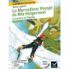 LE MERVEILLEUX VOYAGE DE NILS HOLGERSSON A TRAVERS LA SUEDE, Lagerlöf Selma