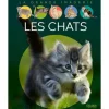 LES CHATS, Vandewiele Agnès
