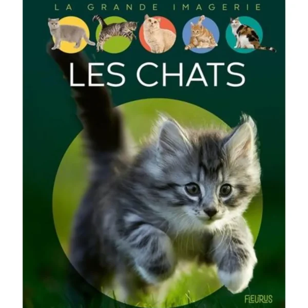 LES CHATS, Vandewiele Agnès