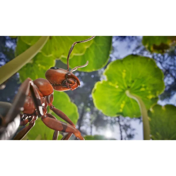 Les Fourmis Edition Limitée PS5