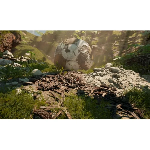 Les Fourmis Edition Limitée PS5