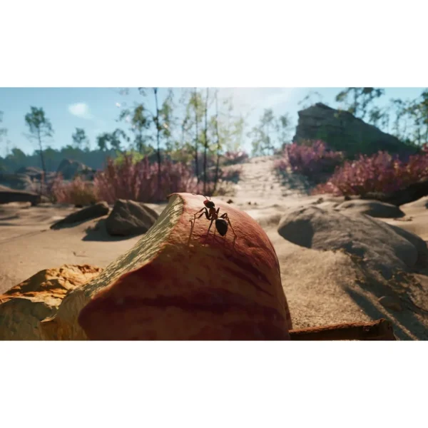 Les Fourmis Edition Limitée PS5