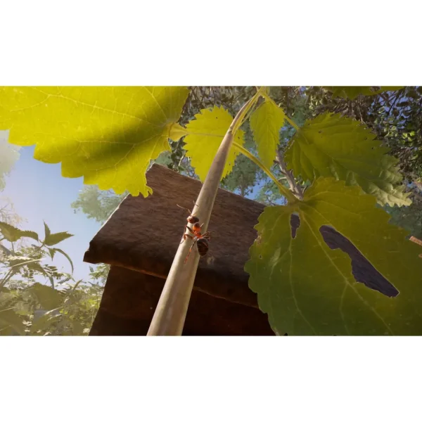 Les Fourmis Edition Limitée PS5