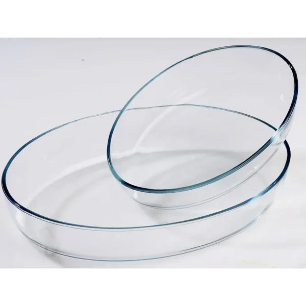 Lot de 2 Plats à four ovales en verre borosilicate