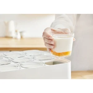 Lot de 6 pots de yaourt XF100110 - Blanc