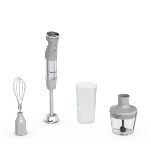 Mixeur plongeant DD673B10 - Gris
