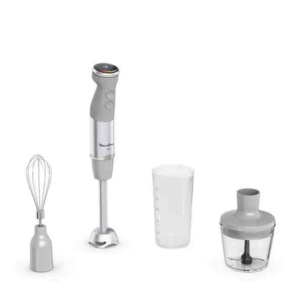 Mixeur plongeant DD673B10 - Gris
