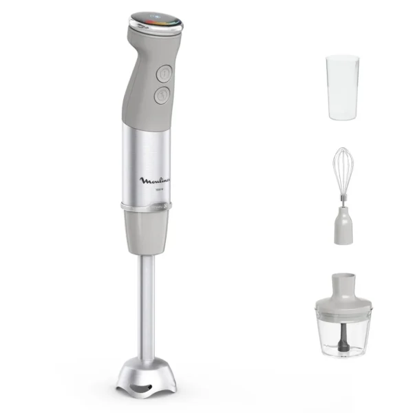 Mixeur plongeant DD673B10 - Gris
