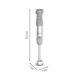 Mixeur plongeant DD673B10 - Gris