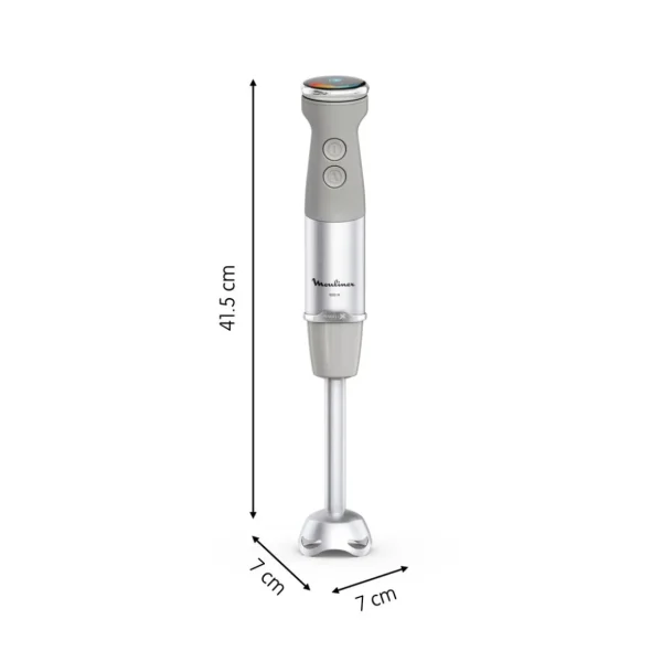 Mixeur plongeant DD673B10 - Gris