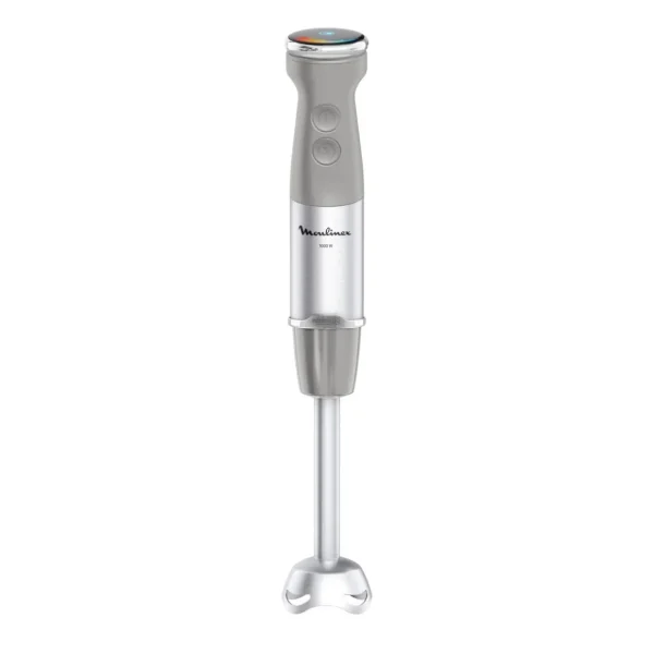 Mixeur plongeant DD673B10 - Gris